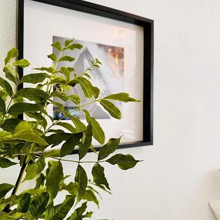 White Oak Loft Apartment Schottwien