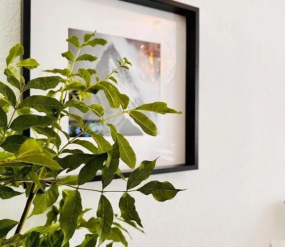 White Oak Loft Lägenhet Schottwien