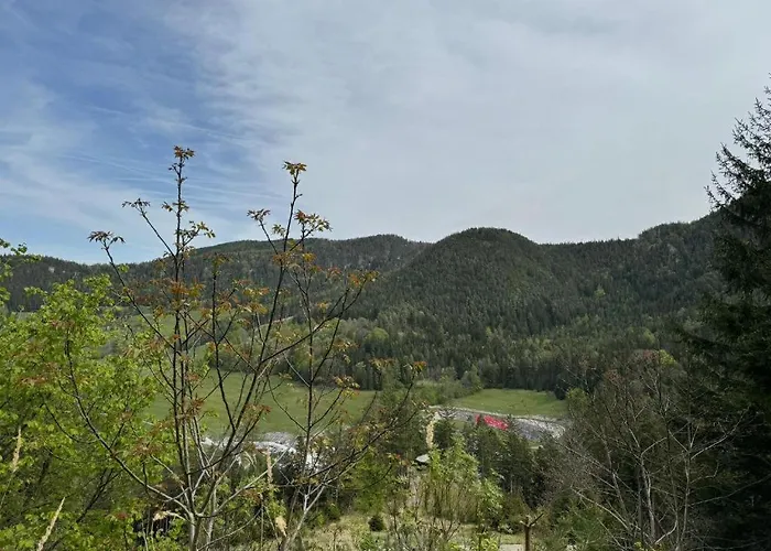 Apartment White Oak Loft